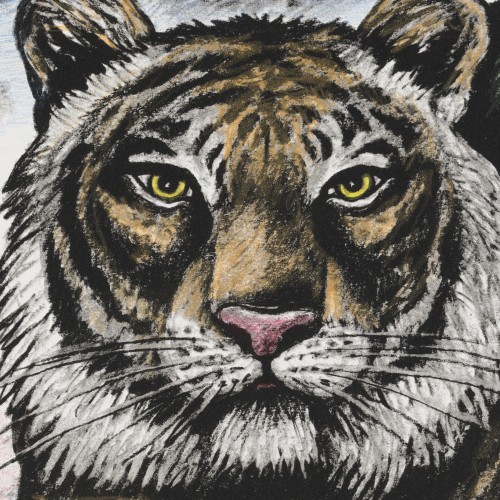 Tiger (17419.5112)