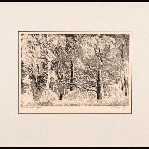 Snowy Forest (17881.7834)