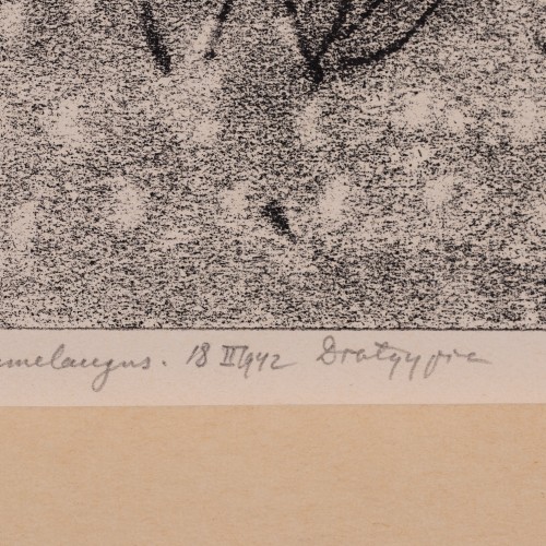 Lumelangus (18388.10100)