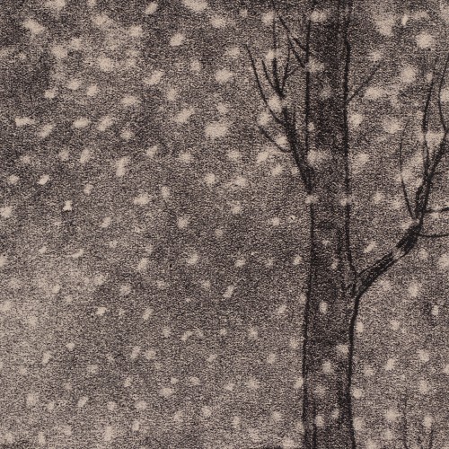 Falling Snow (18388.10102)