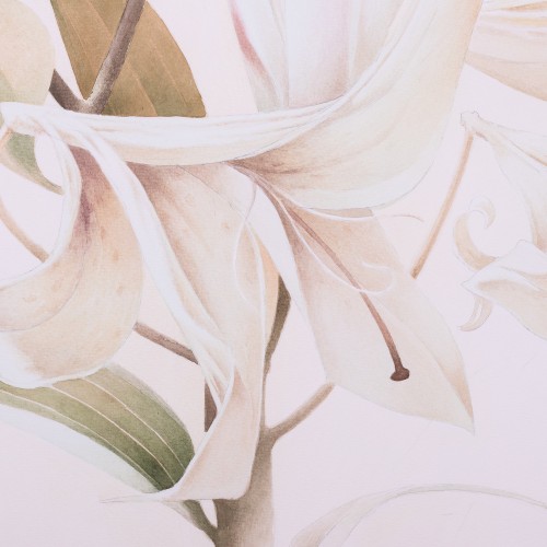 White Lily (18519.19723)