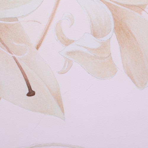 White Lily (18519.19724)