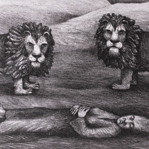 Lions (18702.11074)