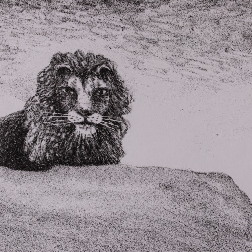 Lions (18702.11079)