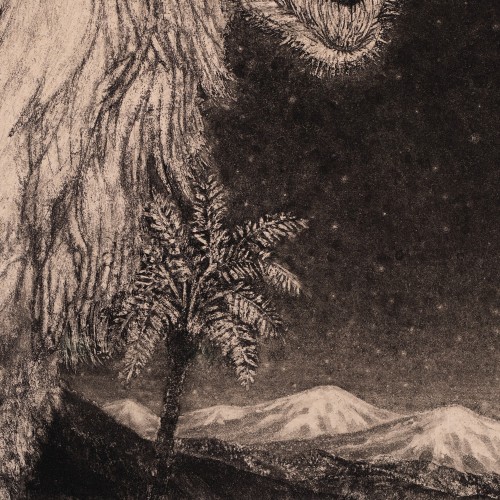 Camel's Head (18802.10971)