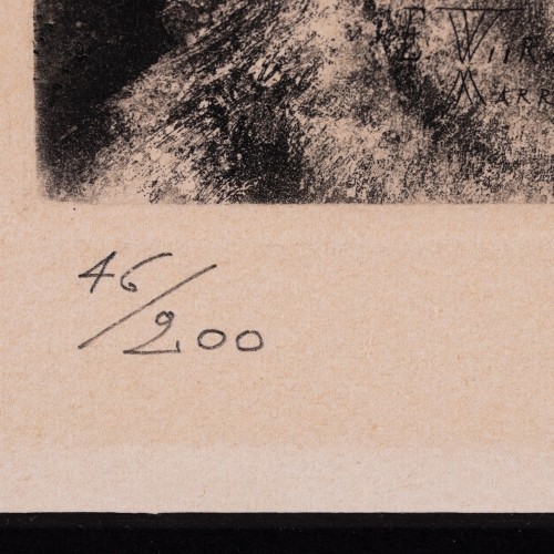 Camel's Head (18802.10974)