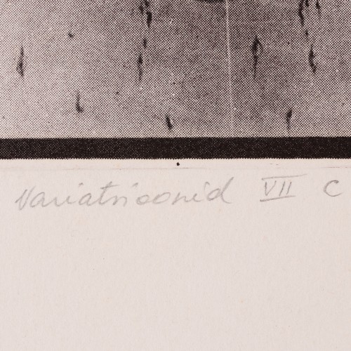 Variations VII C (18877.11100)