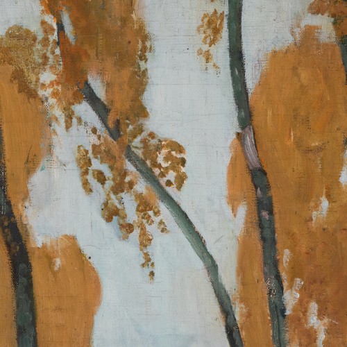 Autumn Birch trees (19142.12518)