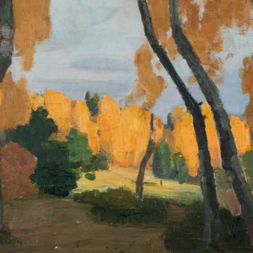 Autumn Birch trees (19142.12520)