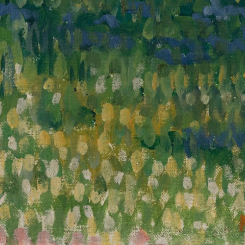 The Field Of Tulips (19169.12576)