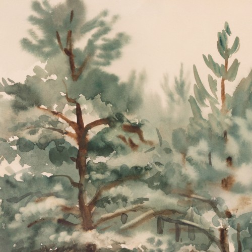 Winter Landscape (19393.13738)