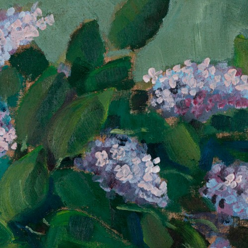 Lilacs (19715.17368)
