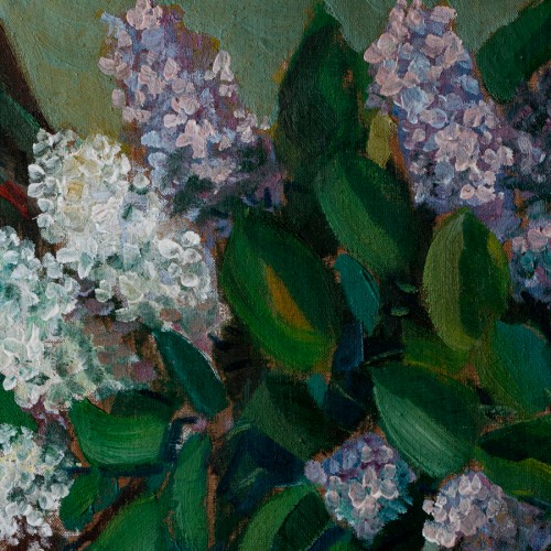 Lilacs (19715.17369)