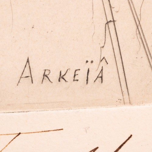 Arkeia (19867.16133)