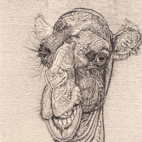 Eduard Wiiralt "Camel's Head"
