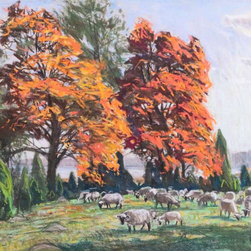 Landscape with Sheep