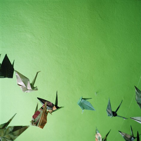 Krista Mölder "Foto 5 (origami linnud 1)"